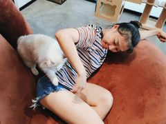 -瞄一喵猫咖(格力海岸店)