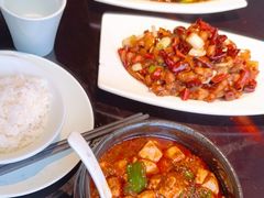-陈麻婆豆腐总店