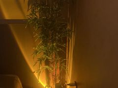 -宁采臣Sleep·采耳·SPA放松馆(湖里万达店)
