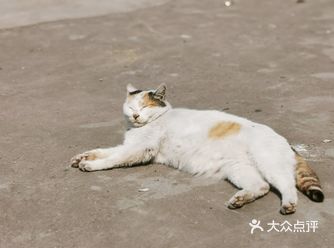 到时候溜达的日子,想吃火锅烧烤串串烤肉