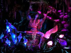 -奥兰多迪士尼动物王国乐园