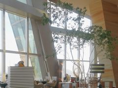 -君悦酒店·大堂酒吧·高空下午茶·暮色微醺