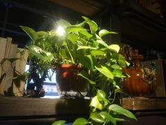 -探鱼·鲜青椒爽麻烤鱼(西南商都店)