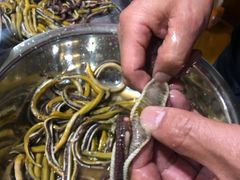 -乐山第一家临江鳝丝(茶坊路店)