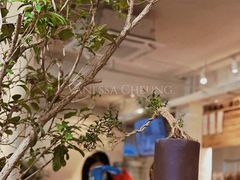 -成川茶店·潮汕工夫浓茶(万象店)