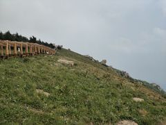 -白草畔自然风景区