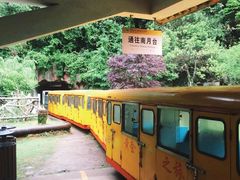 -遂昌金矿国家矿山公园