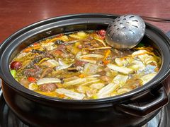 -菌之家·专业纯野生菌火锅·特色炒菌