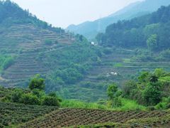 -杨家堂村