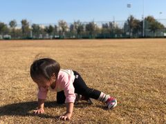 -瀛海足球主题公园