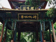 -昆明动物园