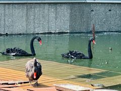 -春晖园度假酒店温泉