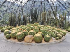 -深圳仙湖植物园