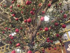 -Cafe Alice咖啡爱丽丝(奥城店)