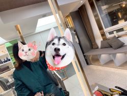 -形象革命造型·护肤Hair Studio