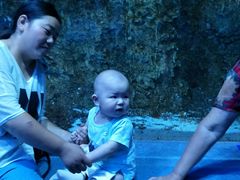 -芜湖新华联大白鲸海洋公园