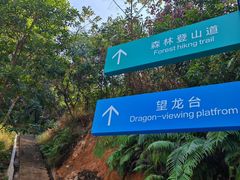 -火炉山森林公园