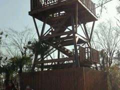 -瑶湖郊野森林公园