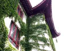 -苏州东山雕花楼宾馆