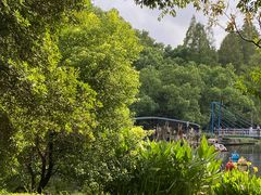 -上海共青森林公园