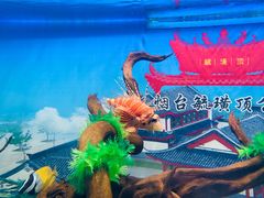 -烟台海昌鲸鲨海洋公园