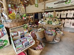 -大象粑粑造纸公园