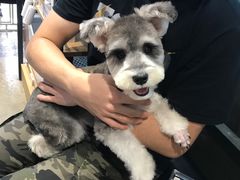 -PETKIT小佩宠物(昭化店)