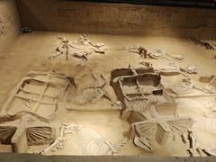 -洛阳周王城天子驾六博物馆