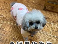 -志龙皇冠吃货椰子铺