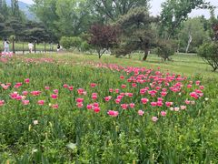 -国家植物园南园