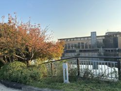 -雅馨国际月子中心