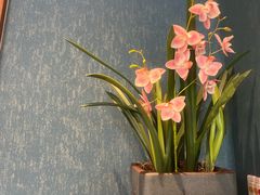 -湘满甲·黄焖甲鱼创始者·湘菜·鲁菜(潘家园店)