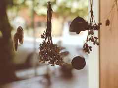 -Oasis coffee燕谷咖啡(公信店)