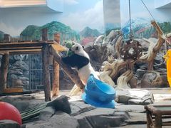 -武汉动物园