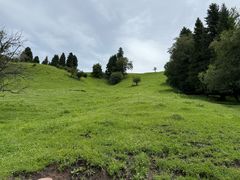 -新疆那拉提国家旅游度假区