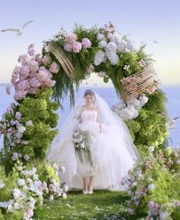 -金夫人婚纱摄影(包河万达店)