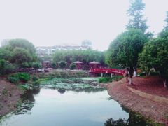 -荷花公园