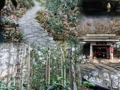 -句容茅山景区