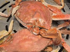 -半岛听涛蒸汽海鲜自助(K11店)