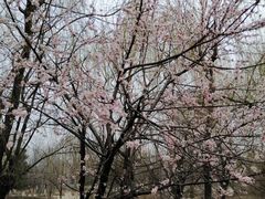 景点-长白岛森林公园