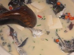 -老傅家湘潭水煮活鱼店(众一国际店)