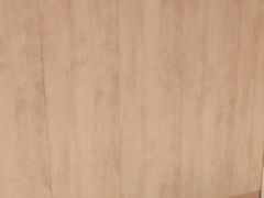 -紫光园·烤鸭·北京菜(劲松店)