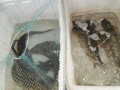 -段氏龙虾·烧烤·烤鱼(东书房路店)