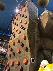 -卡通尼·Safari非洲探索乐园·生日会(金桥国际商业广场店)