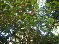 -苏州河梦清园环保主题公园