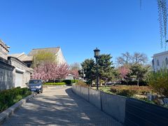 -北京河北迎宾馆