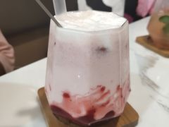 -喵园·猫主题咖啡厅·撸猫·猫咖(国贸店)