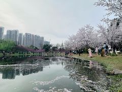 -堤角公园