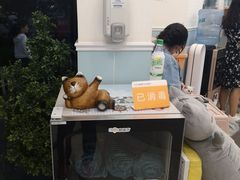 -纳吉亚猫专科动物医院·北北分院