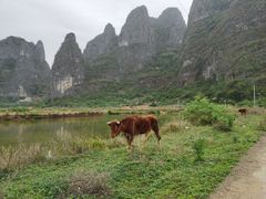 -钟山水墨田园
